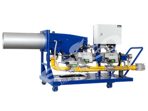 EP-BG Series Biogas Burner(Custom Biomass Type)