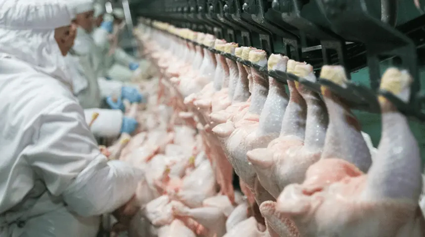 Solutions-for-Food-Industry03